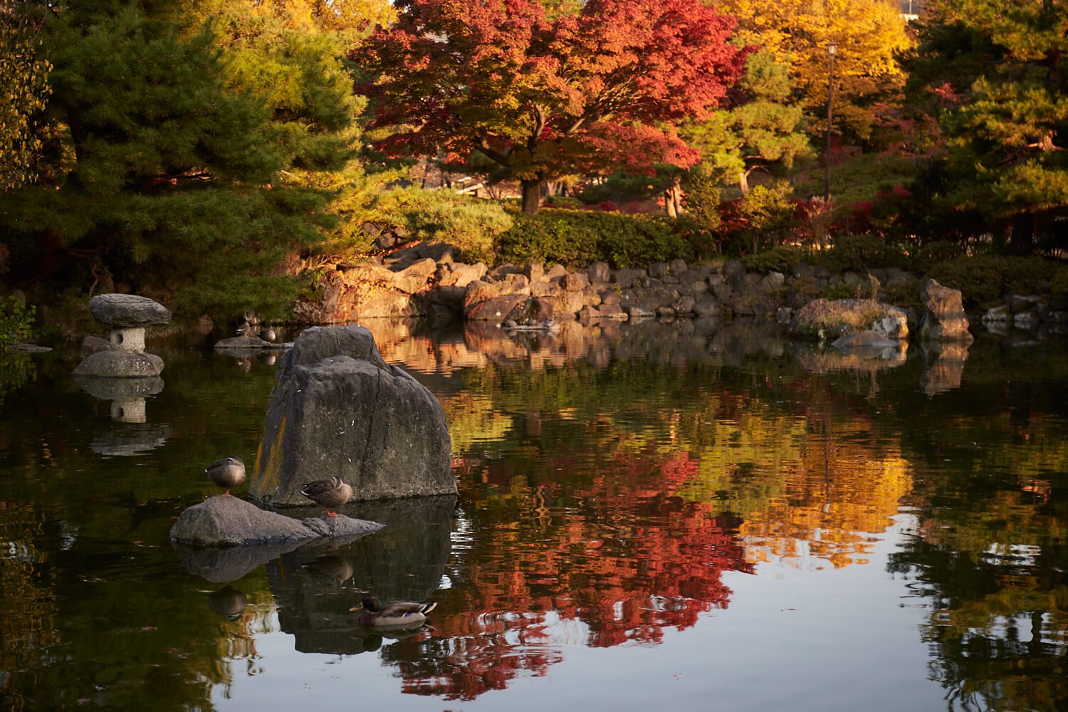 🏞️ 흰 구름의 연못 (시라쿠모노이케) 이미지 8